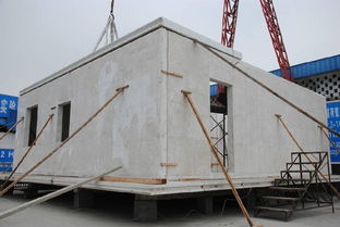 8小時修建180㎡毛坯別墅,成本不到傳統(tǒng)建材一半,質(zhì)量卻翻