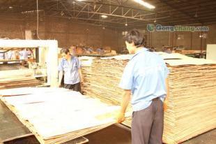 廠家經(jīng)銷河北廊坊金亨牌915*1830建筑木模板 15620997913_建筑建材_世界工廠網(wǎng)中國產(chǎn)品信息庫